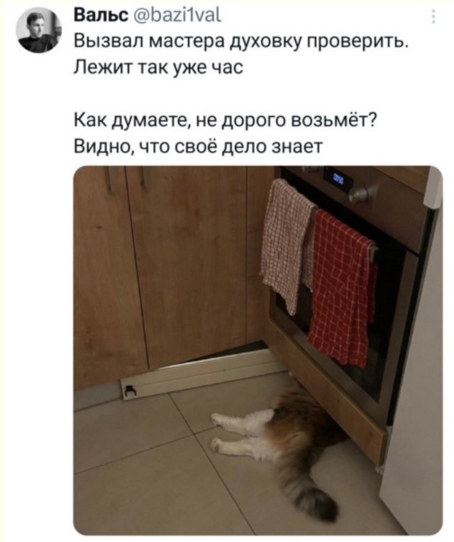 Когда жизнь кидает такие пасы, что остаётся только мемить — смешные фото/мемы/приколы | Bugaga
