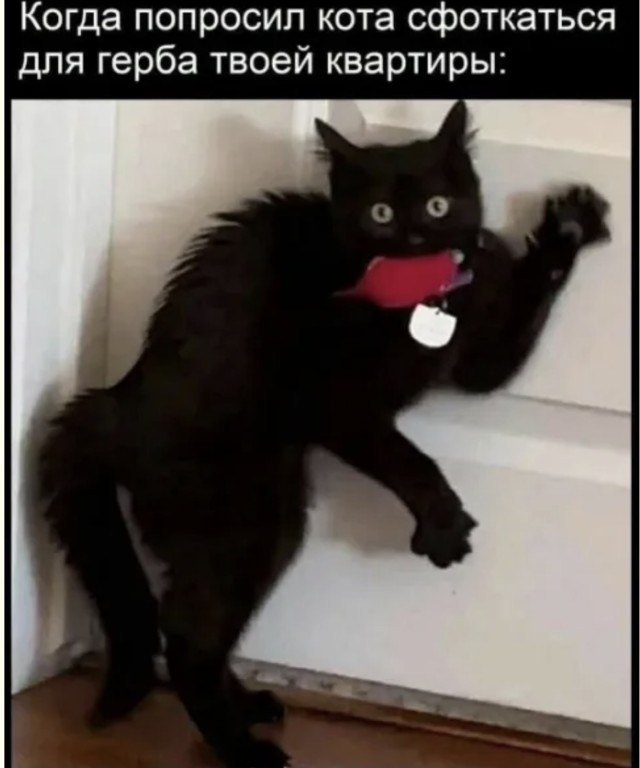 Свежая партия интернет-смешинок — приколы | Bugaga