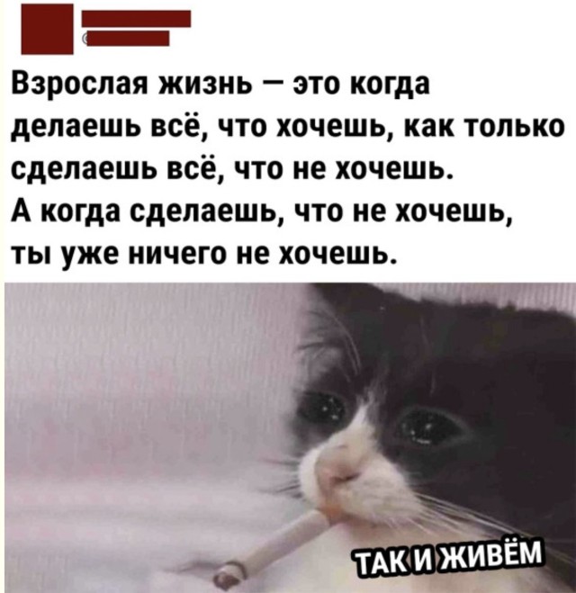«Я вас услышал, но ничего не понял» — мемы | Bugaga