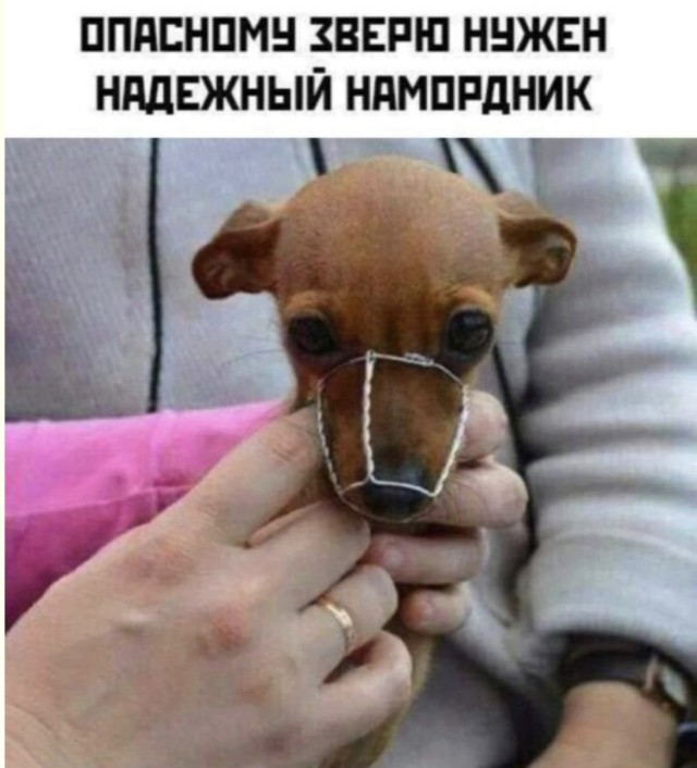 «Здесь могла быть ваша реклама, но мы выбрали мемы» | Bugaga