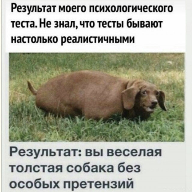 Ментальный пинг-понг или почему устают глаза — смешные фото и мемы | Bugaga