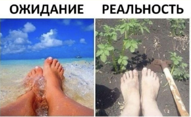 Вторничный когнитивный диссонанс — смешные фото | Bugaga