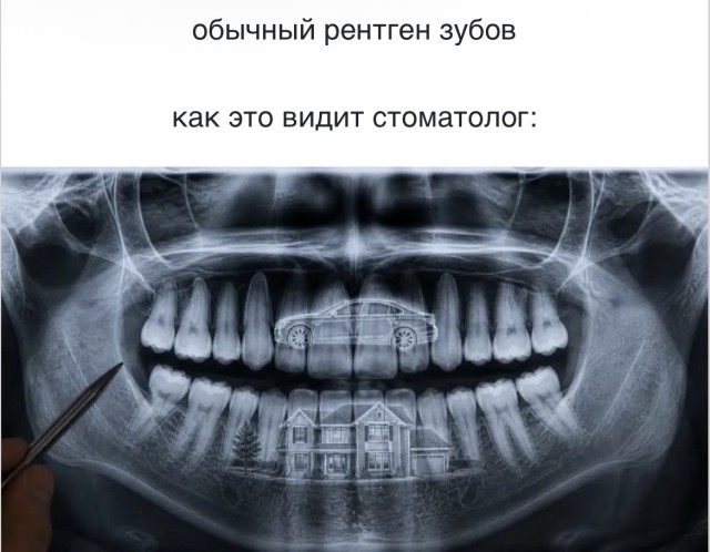 Цифровой детокс запрещен, только мемы — прикольные картинки | Bugaga