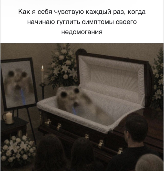 Зеркало души, в котором отражается ржач — приколы дня | Bugaga
