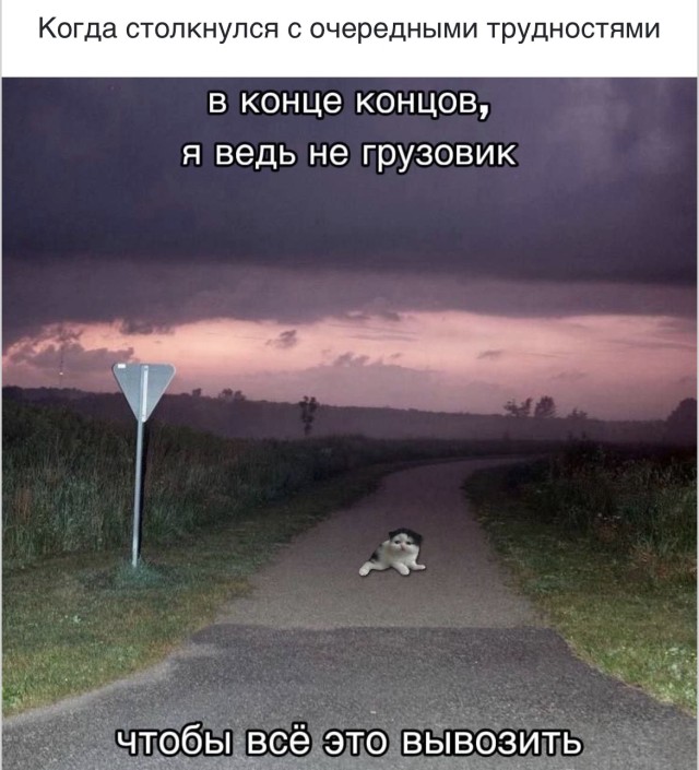 Квантовая физика юмора: эксперимент удался — смешные фото | Bugaga