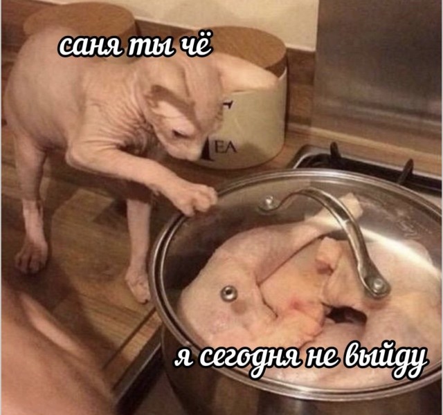 Игра в кальмара, но только с печеньками юмора — приколы | Bugaga