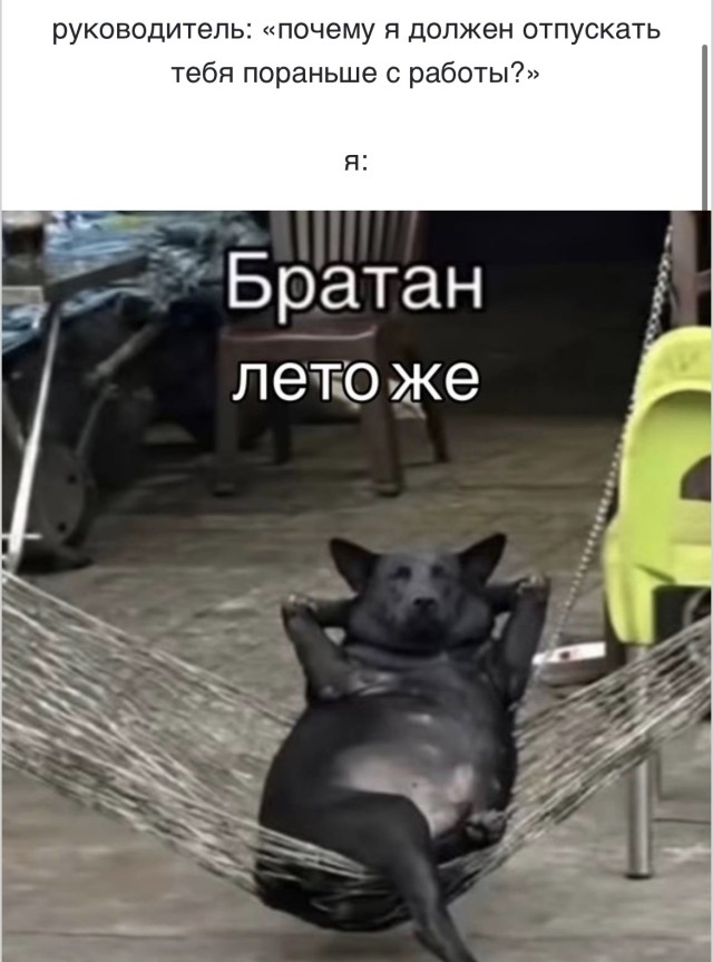 Осторожно, двери закрываются, улыбки остаются — мемы | Bugaga