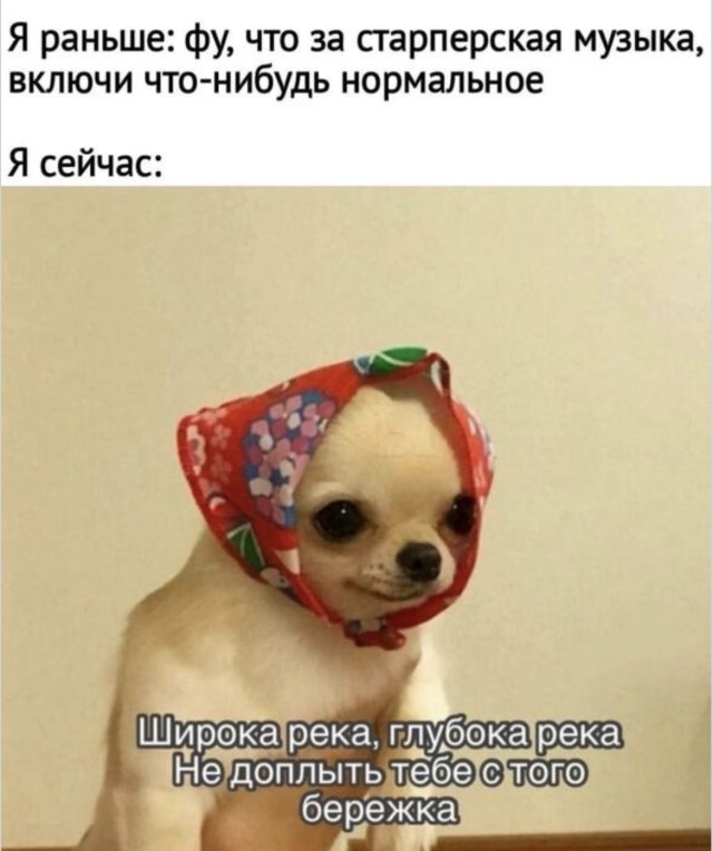 Теория большого взрыва, или Где мы прячем мемы | Bugaga
