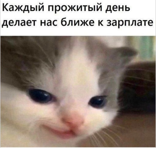Психологический тест Роршаха — смешные мемы сборник | Bugaga