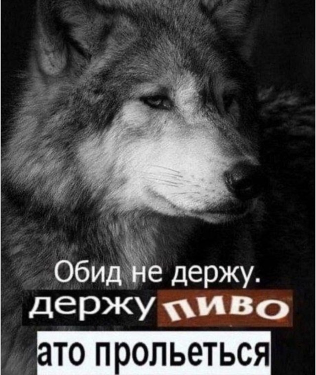 Гаражная распродажа эмоций — приколы и угарный контент | Bugaga