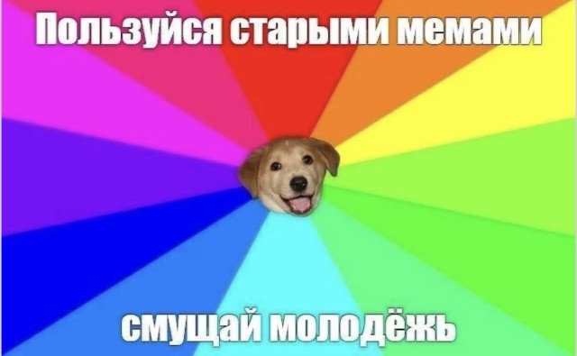 Тупой блеск гениальности — смешные фото и жизненные мемы | Bugaga