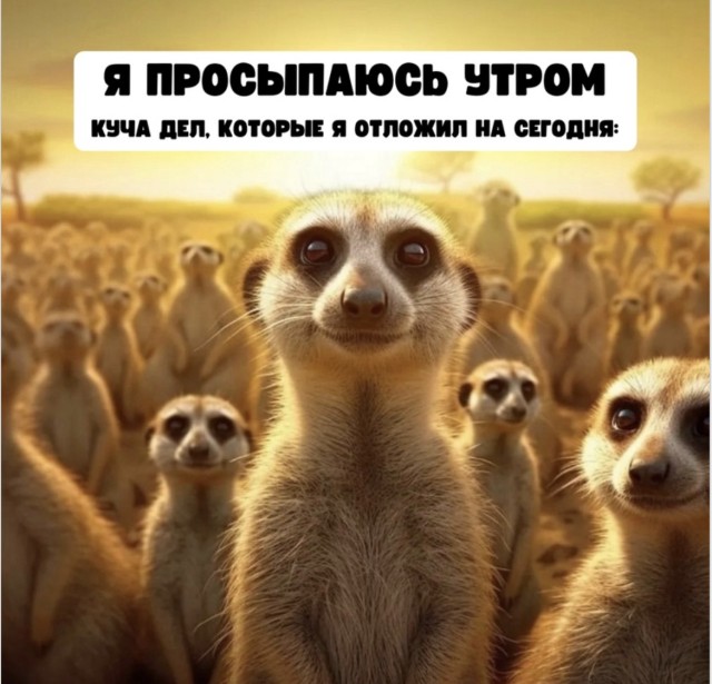Порция хорошего настроения без рецепта — приколы | Bugaga