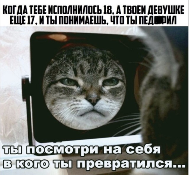 Мир глазами оптимиста-шутника — мемы | Bugaga