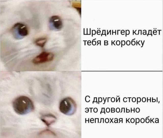 Смех без границ и поводов — приколы | Bugaga