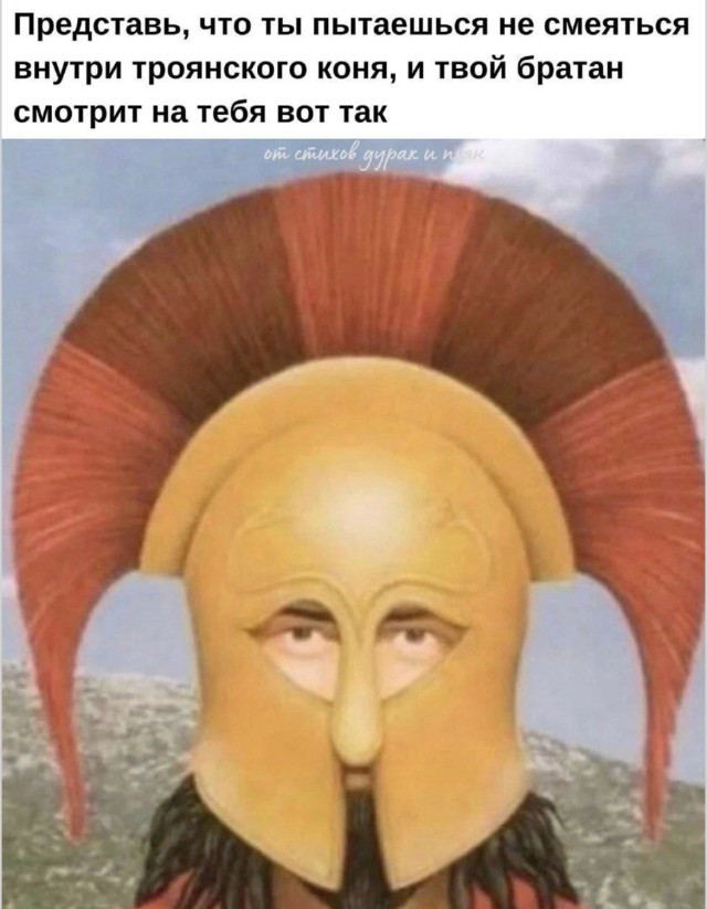 Мемы, которые гладят по душе — смешные фото | Bugaga