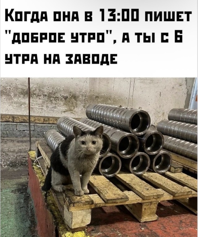 Быстрая доставка хорошего настроения — приколы | Bugaga