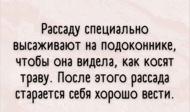 Мемы, которые спасают даже самый серый день — смешные фото | Bugaga