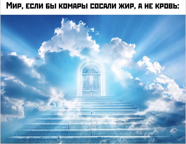 Мемы, от которых хочется поделиться со всеми — смешные фото | Bugaga