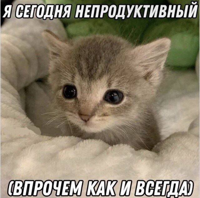 Сублимация повседневного абсурда — приколы | Bugaga