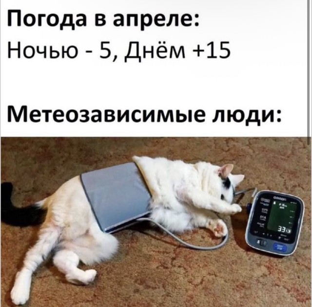 Синдром поиска глубокого смысла — смешные картинки | Bugaga