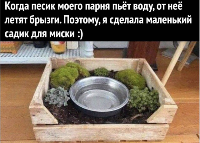 В поисках утраченного лица — смешные мемы | Bugaga