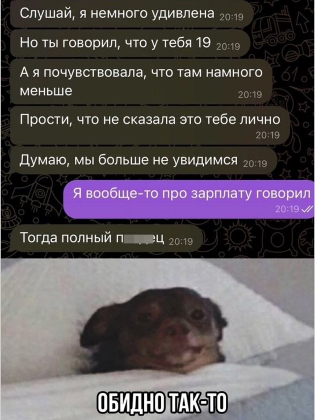 Абсурдный словарь повседневности — смешные фото | Bugaga