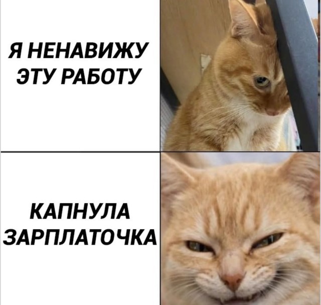 Дзен и искусство игнорирования будильника — мемы | Bugaga