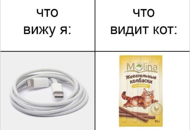 Терапия смехом без лицензии — приколы | Bugaga