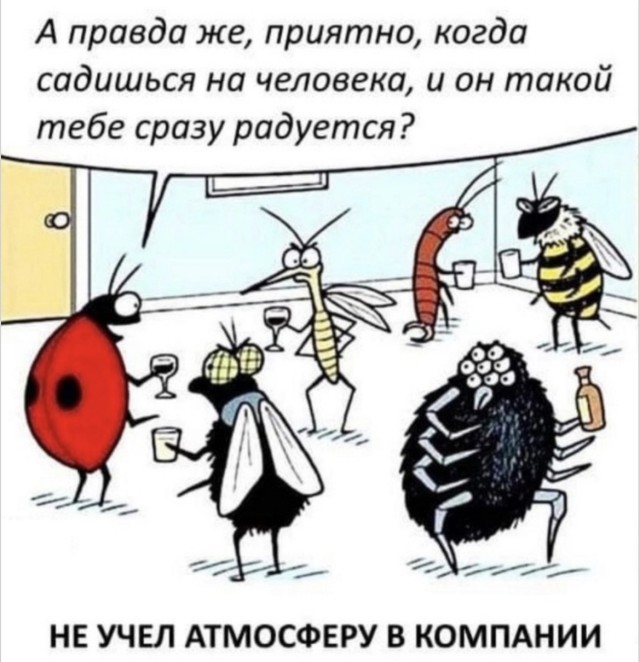 Абсолютный беспорядок в нейросетях — приколы дня | Bugaga