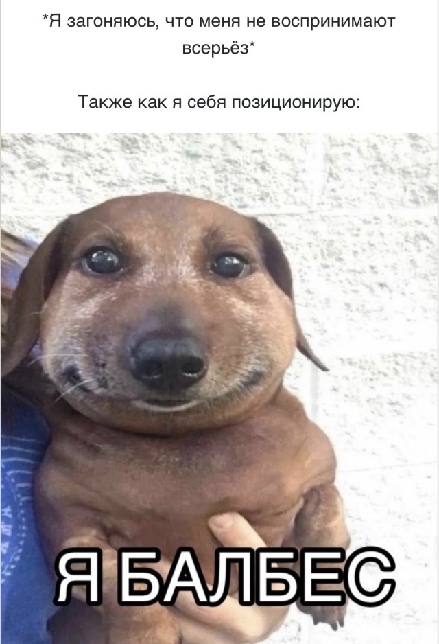 Дзен и искусство поддержки штанов — приколы | Bugaga