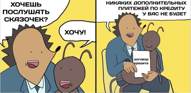 Подборка, от которой даже кот удивлённо моргнёт — смешные фото | Bugaga
