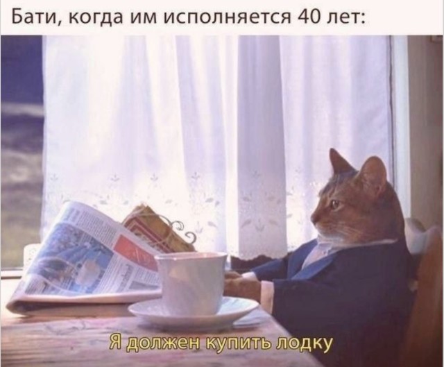 Пингвины в пустыне: подборка невозможных ситуаций — мемы | Bugaga