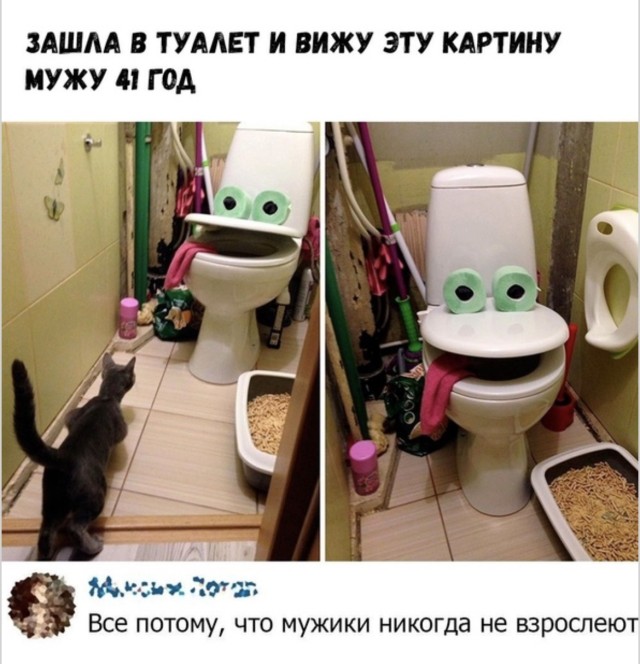 Порция абсурда на вынос — приколы | Bugaga