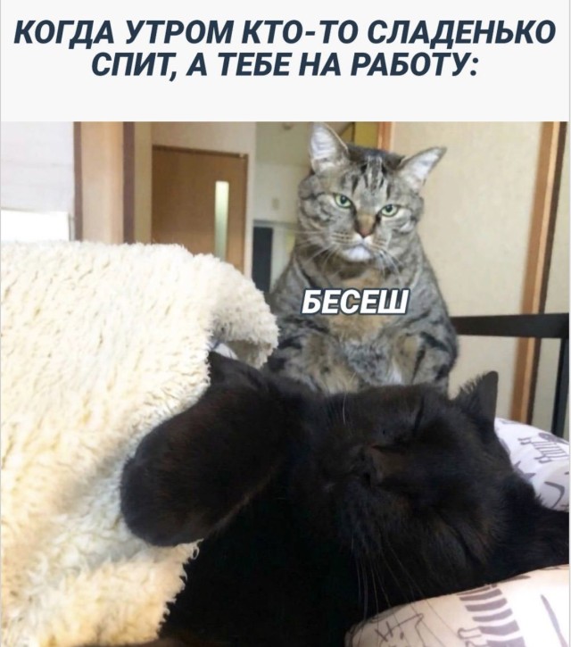 Случайный генератор хорошего настроения — мемы | Bugaga