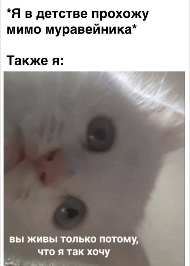 Хаос в красивой упаковке — мемы | Bugaga