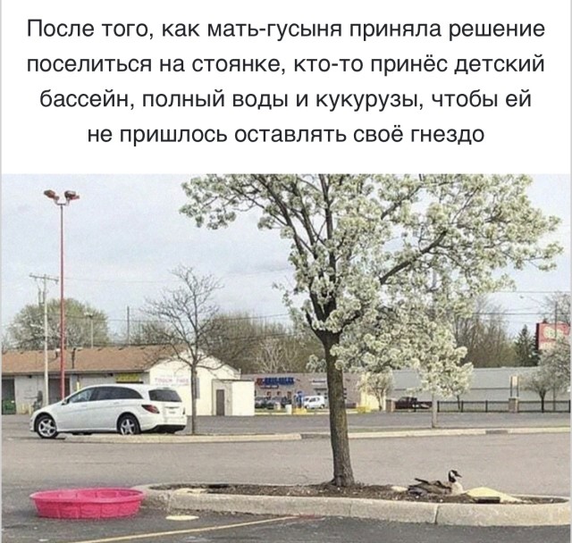 То, что обычно прячут в закладках — приколы | Bugaga