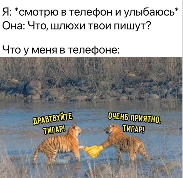 Сборник случайных попаданий в точку — приколы | Bugaga