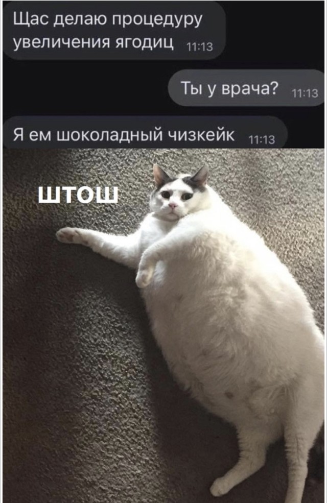 Просто очень много смешного подряд — мемы | Bugaga