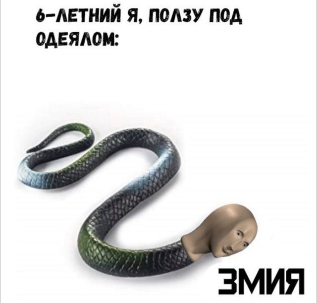 Хаос и порядок в одной картинке — смешные фото | Bugaga