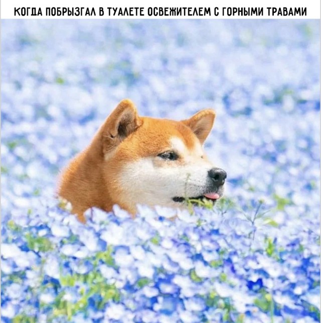 Мы такие разные, но смеемся одинаково — смешные мемы | Bugaga