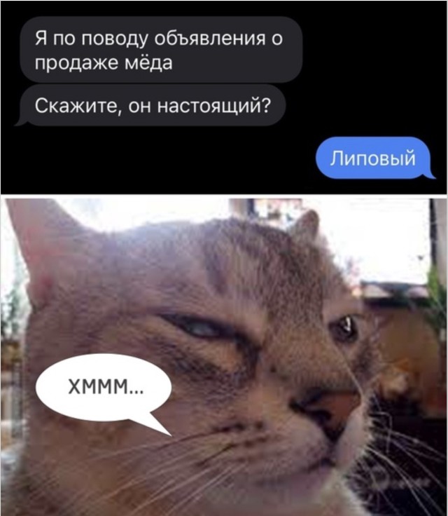 Мемы, которые случайно поняли жизнь лучше вас — смешные картинки | Bugaga