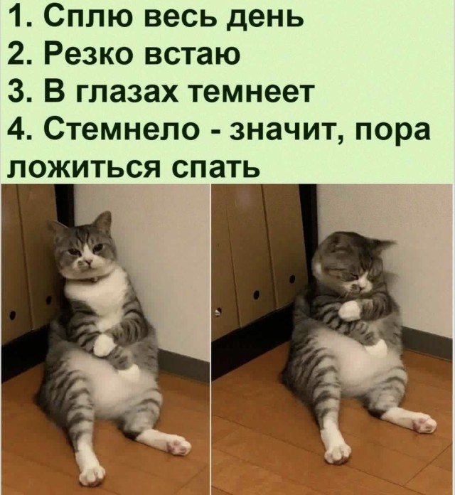Когда все серьёзно, а мы уже ржём — сборник мемов | Bugaga