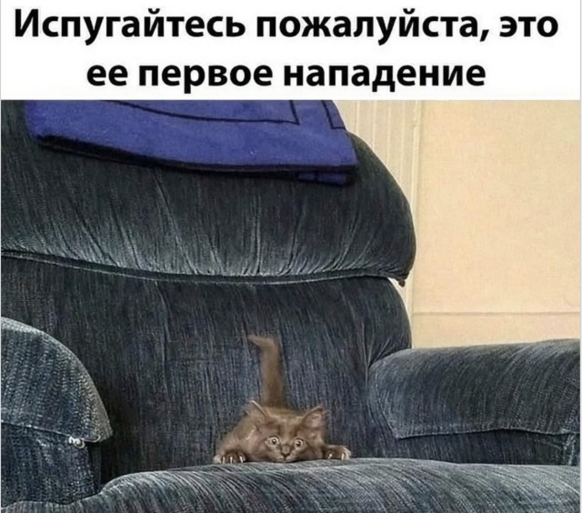 Смех без фильтра и здравого смысла — сборник мемов | Bugaga