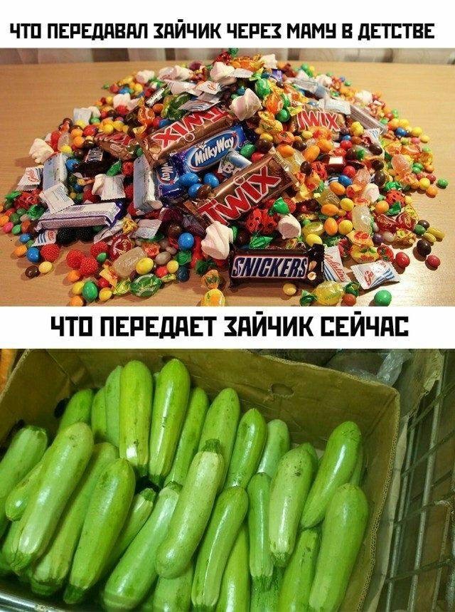 Тут есть всё: от жизненного кринжа до абсурда