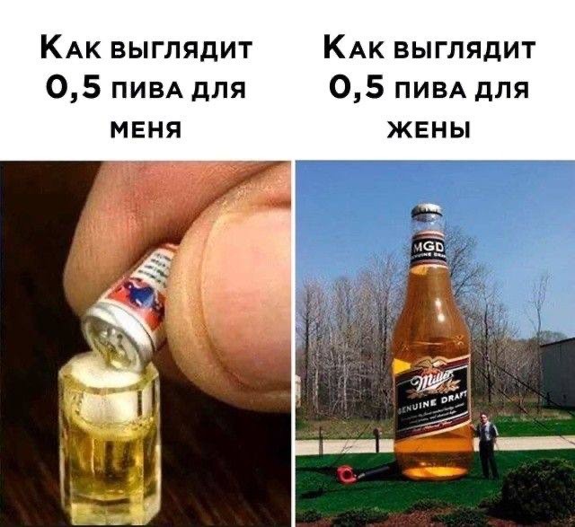 Обычная жизнь, если посмотреть на неё глазами мемов