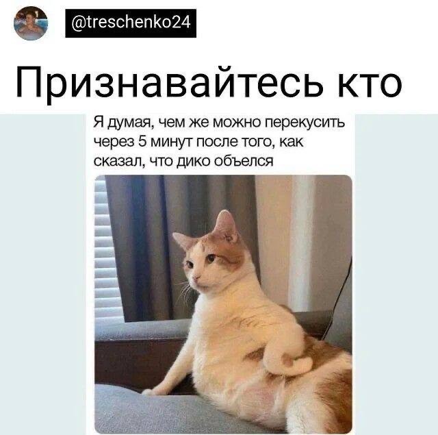 Обычная жизнь, если посмотреть на неё глазами мемов