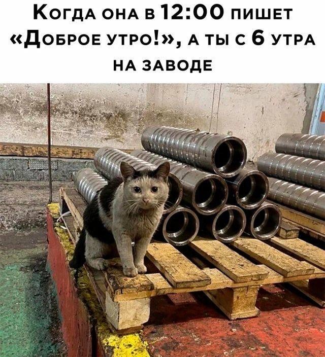 Если понял шутку — значит, этот мем для тебя