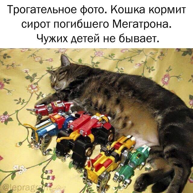 Порция юмора, которая точно поднимет настроение