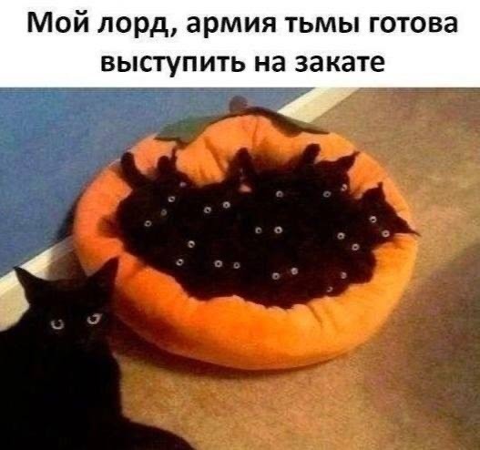 15 поводов улыбнуться даже в самый обычный день