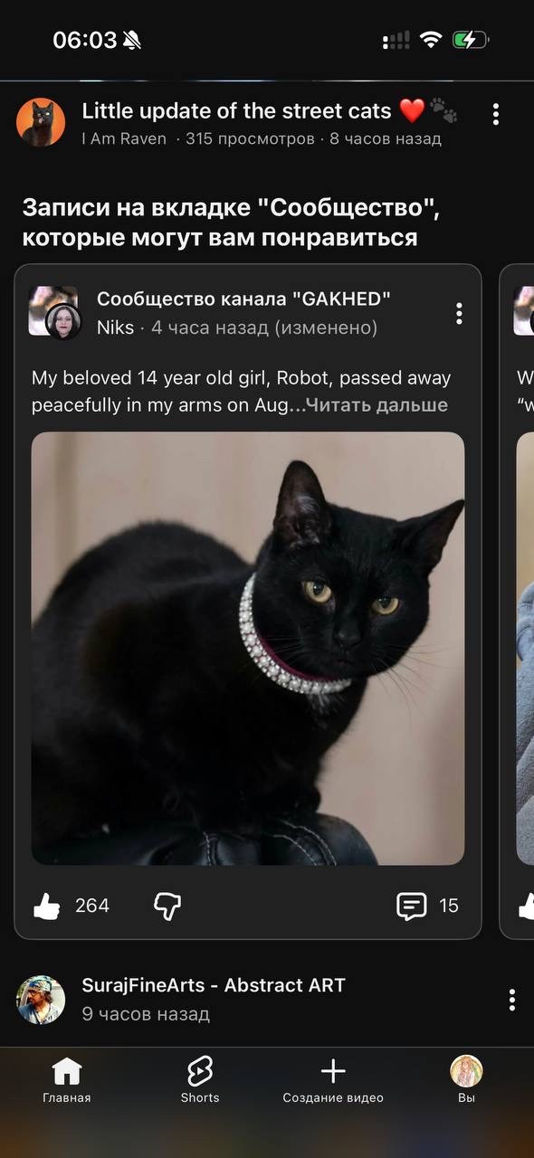 Мемы, которые могли случиться с каждым: время улыбнуться